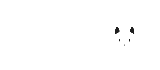 Neirofox